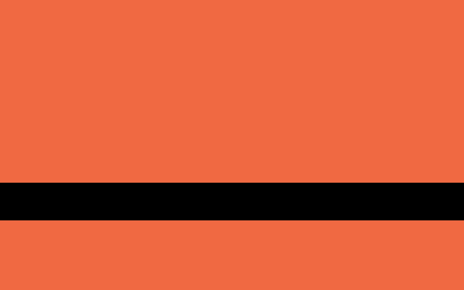  Międzynarodowa flaga uchodźców. Flaga jest prawie w całości pomarańczowa. Jednym elementem w innym kolorze jest czarny pas przecinający ją poziomo na wysokości 1/3 flagi od dołu. 